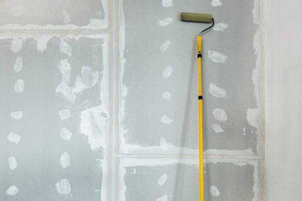 Mold Removal for HVAC Installations in Hoschton, GA
