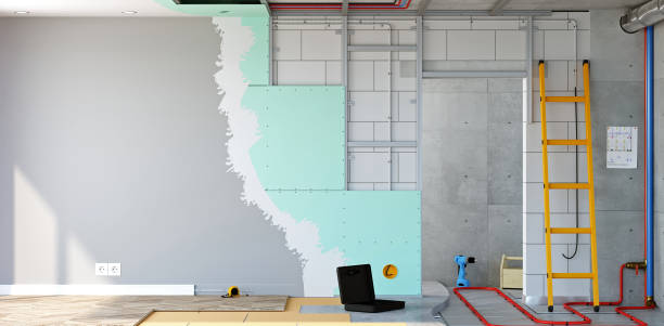 Best Water Damage & Mold Remediation  in Hoschton, GA