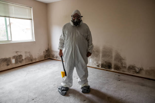 Best Real Estate Mold Inspection  in Hoschton, GA