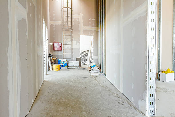 Best HVAC Mold Inspection and Cleaning  in Hoschton, GA
